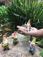 Load image into Gallery viewer, GlitZGlam Happy Gnomes Dancing Celebration! - 4- Piece Musical Garden Gnome Set for the Miniature Fairy Garden