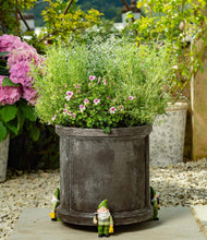 Load image into Gallery viewer, Potty Feet Gnome with Watering Can Figures Plant Pot Feet - Planter Support - Handmade Decorative Ornaments - 3pcs