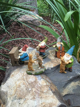 Load image into Gallery viewer, GlitZGlam Happy Miniature Gnomes and Cats Dancing Celebration! - 6-Piece Musical Garden Gnome Set for the Miniature Fairy Garden