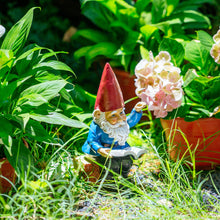Load image into Gallery viewer, Garden Gnome Statue In Reading Book Gnomes Dwarfs 9.5 Ih, Polyresin, Full Color Funny Lawn Ornaments and Statues