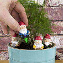 Load image into Gallery viewer, Gift Republic GR450112 Gnomes Plant Pot, Multi-Colour, 8.0 cm*14.0 cm*3.5 cm