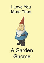Load image into Gallery viewer, I Love You More Than A Garden Gnome: A Funny Gift Journal Notebook...A Message For You
