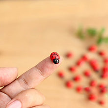 Load image into Gallery viewer, Klaisy 10Pcs Ladybird Red Fy For House Garden Decor Ornament
