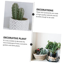 Load image into Gallery viewer, CIYODO Miniature Garden Decoration Micro Landscape Gardening Ornaments Action Figure Doll Toy
