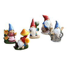 Load image into Gallery viewer, YUGSHNKFC 5Pieces Resins Gnomes Elves Dwarf Miniature Figurines Ornaments For Garden Landscape And Flowerbed Plant Pots Decoration

