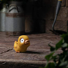 Load image into Gallery viewer, Solar Garden Baby Duckling Decoration (Set of 2) | Outdoor Yard Decor - Lawn Ornaments | Solar Decorative Lights for Patio, Balcony, Deck | Weather Resistant - LED | Housewarming Gift (Set of 2)
