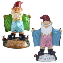 Load image into Gallery viewer, Sexy Gnome Statues, 5.9 Inch Resin Funny Garden Gnomes, Full Color Say Hello to My Little Friend, Reusable Naughty Gnomes, For Gnome Lovers Lawn Yard Porch, Green
