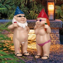 Load image into Gallery viewer, BBdis 2 PCS Garden Gnomes, 4.7 Inch Naughty Garden Gnome Funny Gnomes Statue for Home Indoor or Outdoor Lawn Gnome Decorations Housewarming Halloween
