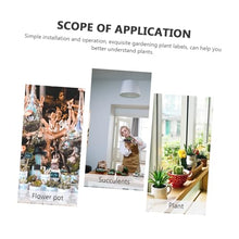 Load image into Gallery viewer, Hemobllo Miniature Hairdressing Ornaments Micro Landscape Decoration for Doll Potted Plant Miniature Garden Decoration Material Unique Gardening
