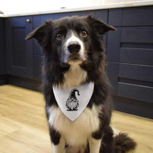 Load image into Gallery viewer, Large &#39;Gonk Gnome&#39; Dog/Cat/Pet Bandana (PD00059588)
