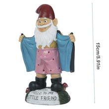 Load image into Gallery viewer, Statues, Sexy Gnome Statues, 5.9 Inch Resin Funny Garden Gnomes, Full Color Say Hello to My Little Friend, Reusable Naughty Gnomes, For Gnome Lovers Lawn Yard Porch, Black
