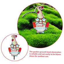 Load image into Gallery viewer, Toyvian Summer Gnome Garden Stake Decor Acrylic Outdoor Ornament for Lawn Patio Courtyard Pathway for Summer Festivals Gardening Enthusiasts
