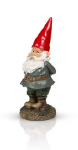Load image into Gallery viewer, THE Garden Gnome
