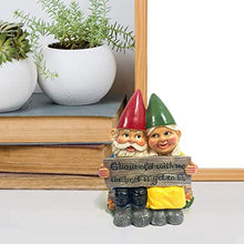Load image into Gallery viewer, Couple Fairy Dwarf Couple Garden Gnome Ornament Hand-Painted Gnome Resin Garden Statue
