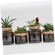 Load image into Gallery viewer, Hemobllo Miniature Hairdressing Ornaments Micro Landscape Decoration for Doll Potted Plant Miniature Garden Decoration Material Unique Gardening
