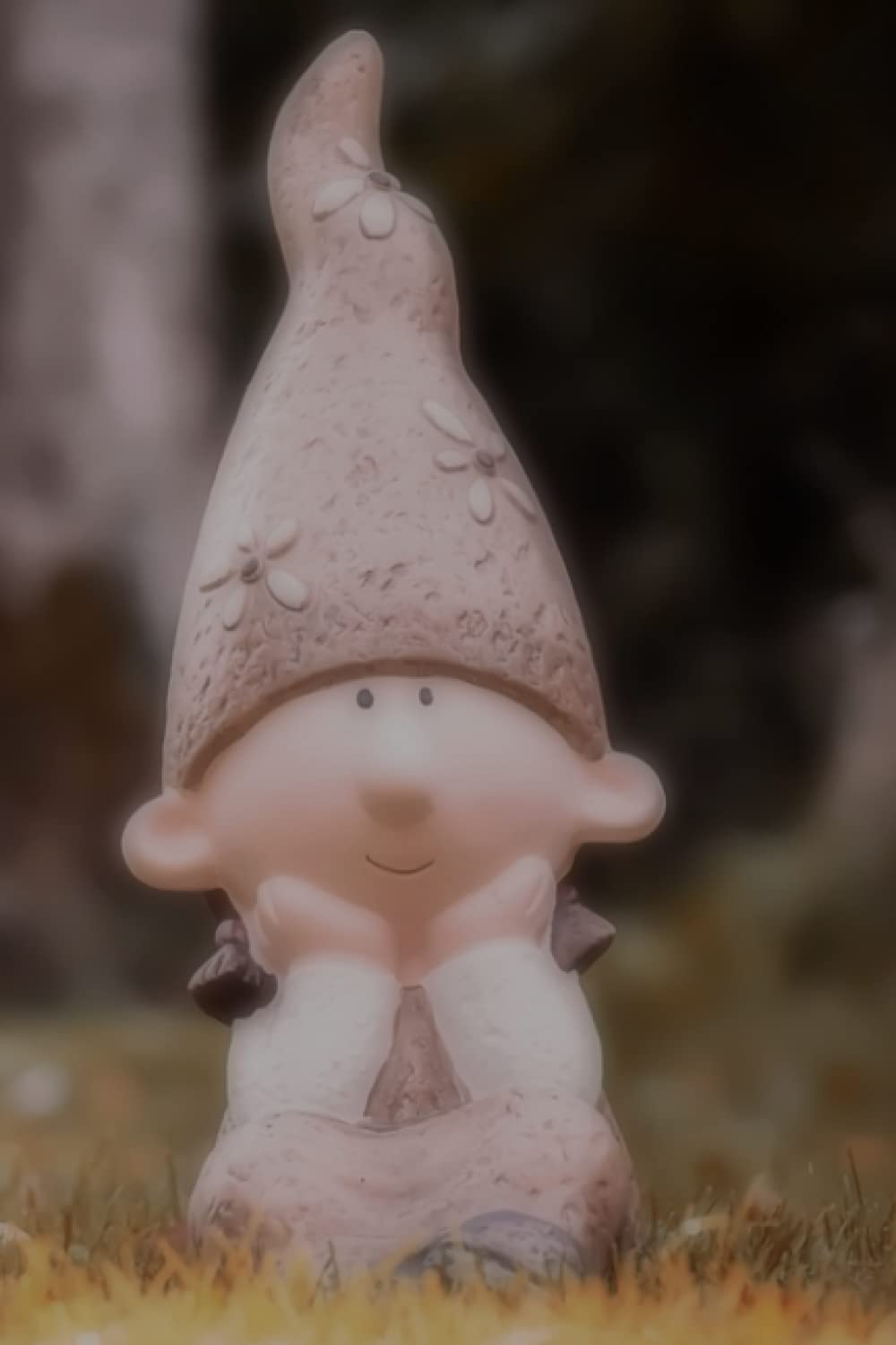 Notebook: I Gnome Things Series Notebooks