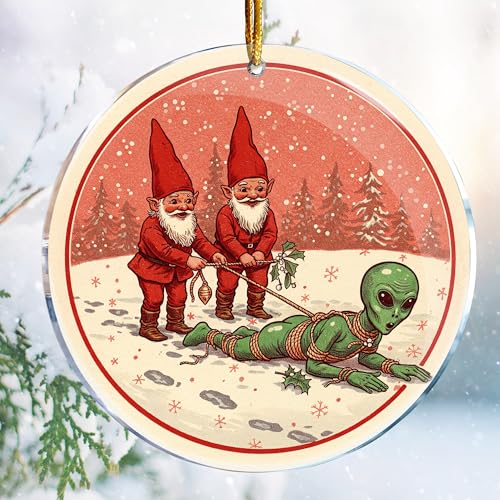 Christmas Ornaments Decorations - 3.6 in Acrylic Two Sided Printing (Gnome tie Alien 1 - Hilarious Adult Naughty Funny SciFi Art Garden Decor Ideas)