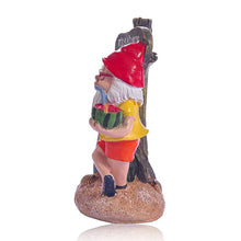 Load image into Gallery viewer, NIYEYE Garden Gnomes for Outdoor Use Funny Cool Surfing Garden GNOME Weatherproof Made of Resin Decorative Figurine
