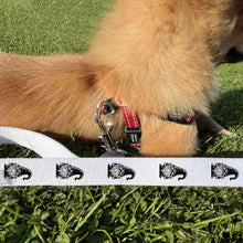 Load image into Gallery viewer, &#39;Gonk Gnome&#39; Dog Lead/Leash (DL00021997)
