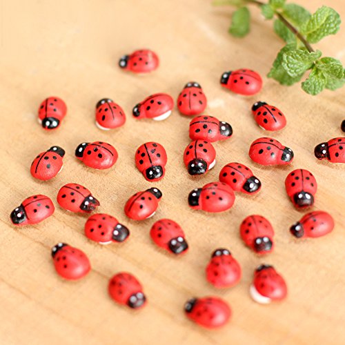Klaisy 10Pcs Ladybird Red Fy For House Garden Decor Ornament