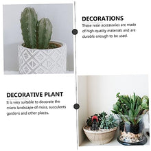 Load image into Gallery viewer, Hemobllo Miniature Hairdressing Ornaments Micro Landscape Decoration for Doll Potted Plant Miniature Garden Decoration Material Unique Gardening
