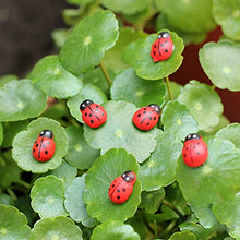 Load image into Gallery viewer, Klaisy 10Pcs Ladybird Red Fy For House Garden Decor Ornament
