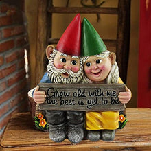 Load image into Gallery viewer, Couple Fairy Dwarf Couple Garden Gnome Ornament Hand-Painted Gnome Resin Garden Statue

