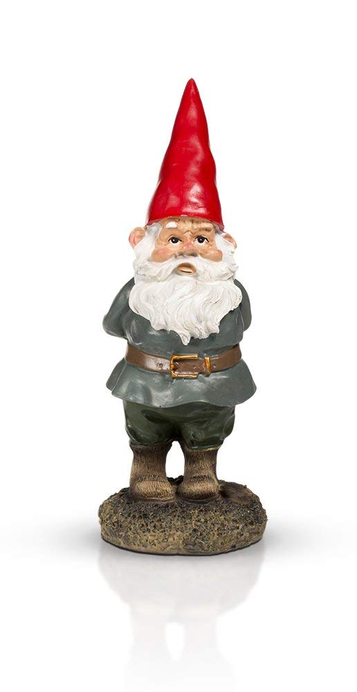 THE Garden Gnome