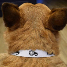 Load image into Gallery viewer, Small &#39;Gonk Gnome&#39; Dog Collar (PR00059539)
