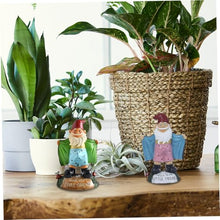 Load image into Gallery viewer, Sexy Gnome Statues, 5.9 Inch Resin Funny Garden Gnomes, Full Color Say Hello to My Little Friend, Reusable Naughty Gnomes, For Gnome Lovers Lawn Yard Porch, Green
