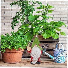 Load image into Gallery viewer, Happyyami Solar Garden Ornaments Garden Gnome Statue Solar Path Lights Outdoor Decor

