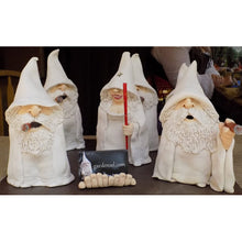 Load image into Gallery viewer, Tirifer 3D Dwarves Wizard Gnome, Polyresin Outdoor Middle Finger Gnome Statue, Garden Figurine Art Decoration for Lawn Yard Balcony Porch Patio
