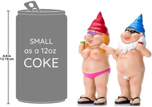 Load image into Gallery viewer, Skoye Garden Gnomes Outdoor Funny, 2Pcs Garden Gnomes Statue Naughty Garden Gnome Funny Gnome, Art Decoration for Lawn Ornaments Indoor or Outdoor Garden Decorations
