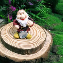 Load image into Gallery viewer, 14PCS Garden Gnome Fairy Garden Gnome Statue Mini Dwarf Elf Resin Sculpture Potted Micro Landscape
