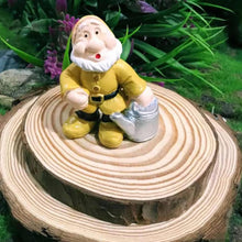 Load image into Gallery viewer, 14PCS Garden Gnome Fairy Garden Gnome Statue Mini Dwarf Elf Resin Sculpture Potted Micro Landscape

