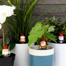 Load image into Gallery viewer, Gift Republic Naughty Gnomes Planters, Multicolor, One Size
