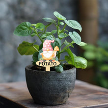 Load image into Gallery viewer, arricraft 15 Pcs Gnome Shaped Wooden Plant Tags, Colorful Shaped Waterproof Garden Stake Plant Marker for Indoor Outdoor Potted Nursery Marker Decoration Accessories

