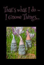 Load image into Gallery viewer, Notebook: I Gnome Things Series Notebooks
