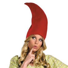 Load image into Gallery viewer, Disguise Ms. Gnome 12-14
