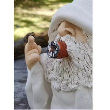Load image into Gallery viewer, Tirifer 3D Dwarves Wizard Gnome, Polyresin Outdoor Middle Finger Gnome Statue, Garden Figurine Art Decoration for Lawn Yard Balcony Porch Patio
