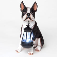 Load image into Gallery viewer, Bits and Pieces - Boston Terrier Solar Lantern Statue - Yard Decorations - Solar Powered Garden Lantern - Resin Dog Sculpture - Outdoor LED Lighting
