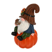 Load image into Gallery viewer, Cabilock Gnome Ornaments for Garden Decor Resin Pumpkin Gnome Statue Fall Style for Outdoor Use
