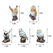 Load image into Gallery viewer, 5 Pieces Owls Fairy Garden Miniature Ornaments Mini Animals Resin Figurines for Moss Landscape Bonsai Crafts Home Decor
