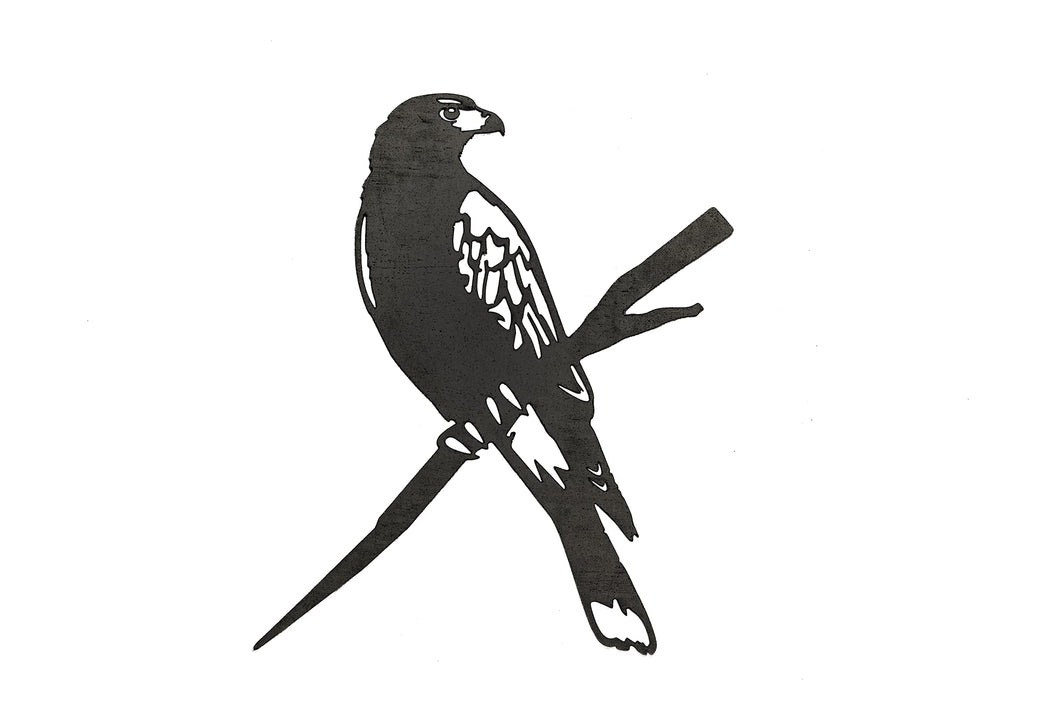 METALBIRD - Harris Hawk - Outdoor Garden Ornaments in Corten Steel - Metal Art Proudly Made in Britain