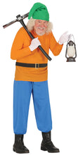 Load image into Gallery viewer, FIESTAS GUIRCA Dwarf Fancy Dress Costume Adult Man Size Large 52-54
