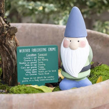 Load image into Gallery viewer, something different Terracotta Weather Gnome
