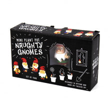 Load image into Gallery viewer, Gift Republic Naughty Gnomes Planters, Multicolor, One Size
