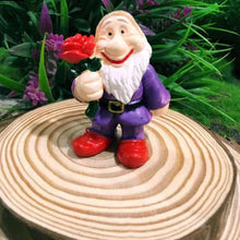 Load image into Gallery viewer, 14PCS Garden Gnome Fairy Garden Gnome Statue Mini Dwarf Elf Resin Sculpture Potted Micro Landscape
