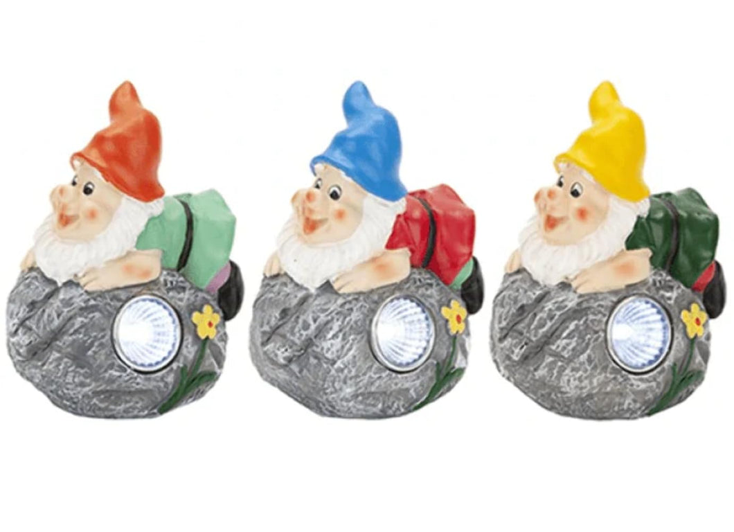 Roots & Shoots Gnome Solar Light
