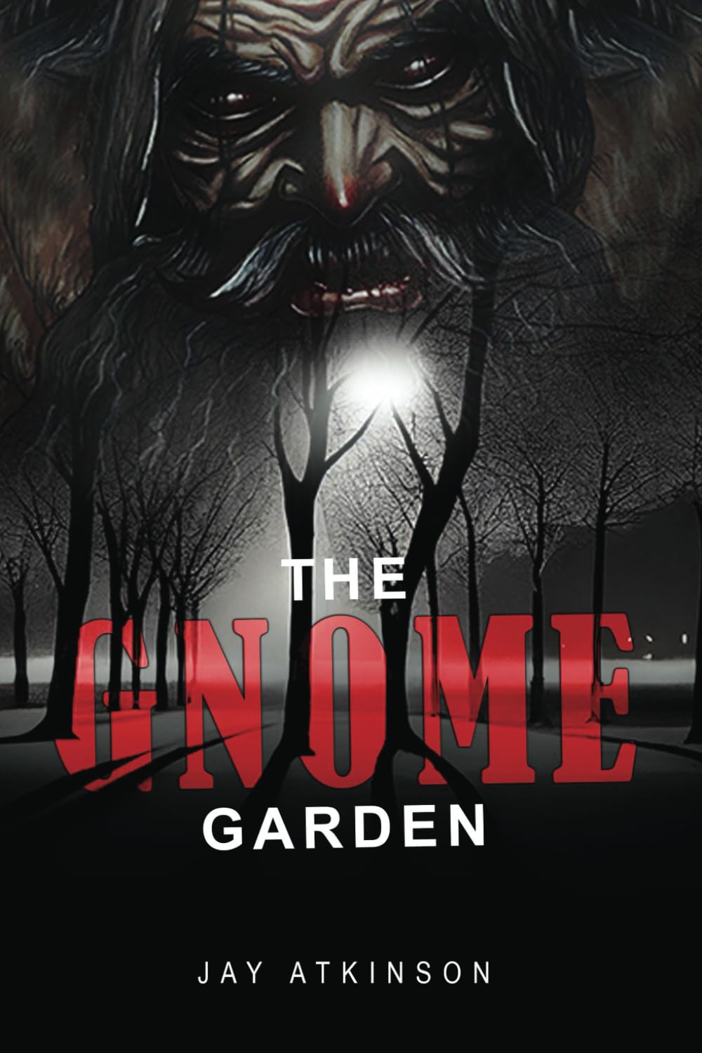 Garden Gnome Adventures